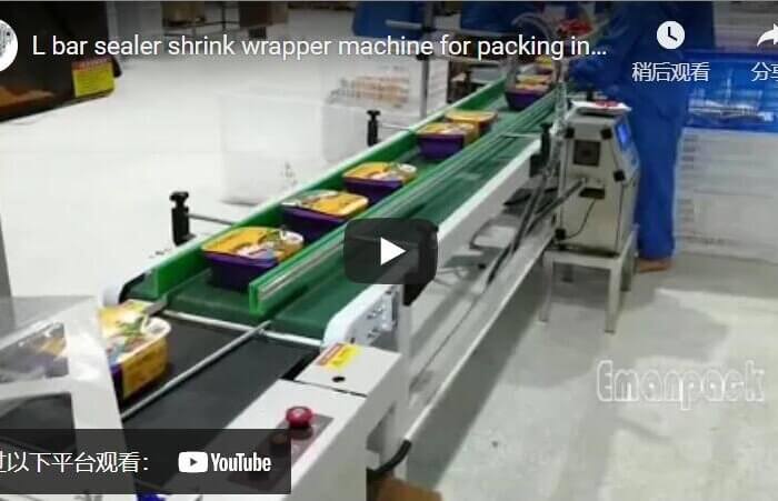 economical heat sealing and shrink wrap machine