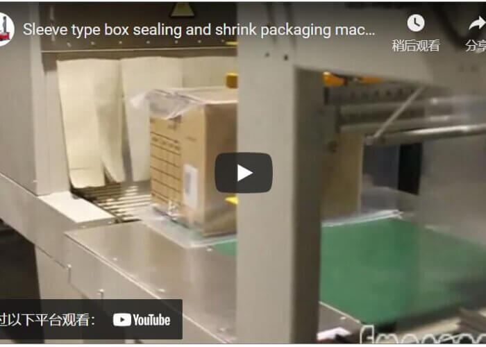 Sleeve type box sealing and shrink packaging machine