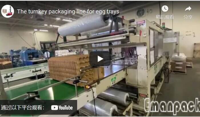 The turnkey packaging line for egg trays